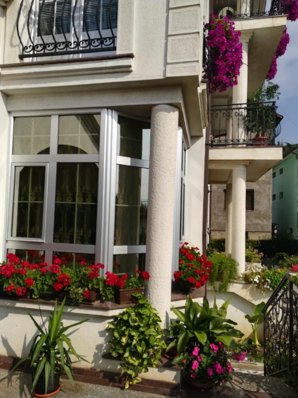 Vila Sentic Вране Экстерьер фото